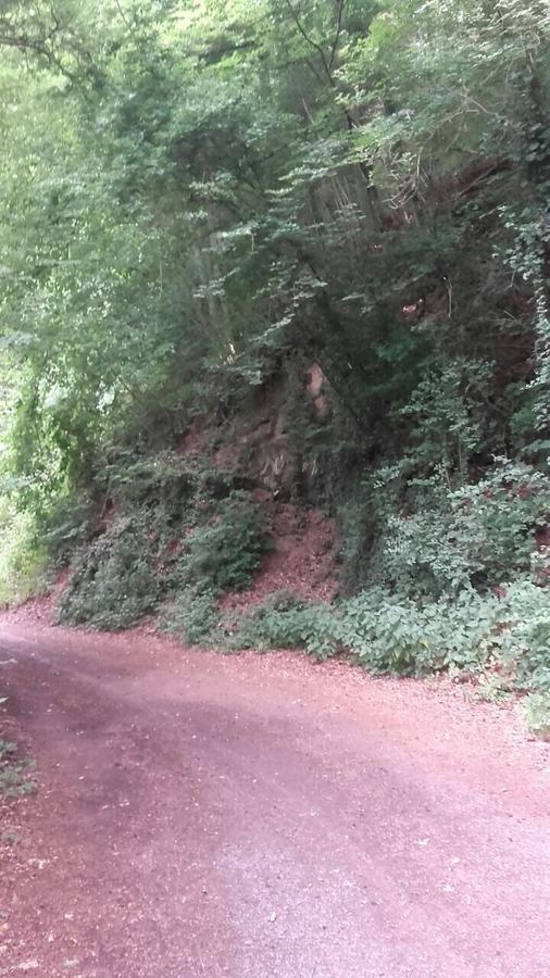 Ferienwohnungen am Fürstenweg Neuwied Exterior foto